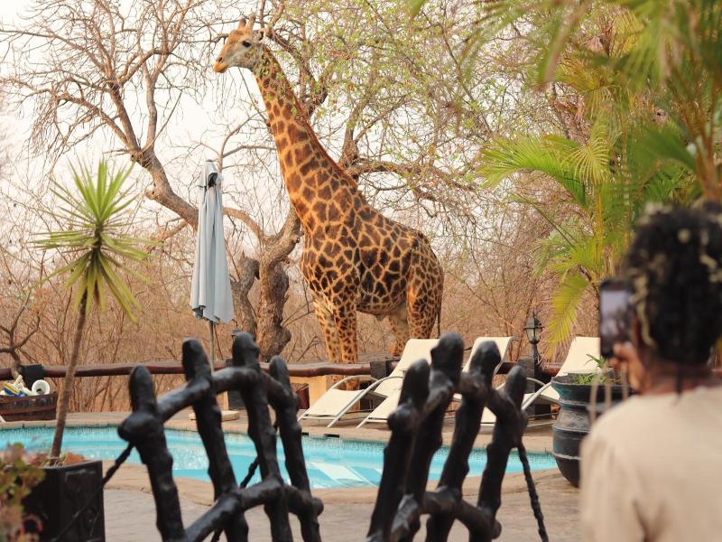 African Rock Lodge image