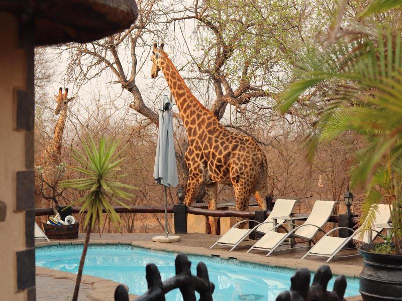African Rock Lodge image