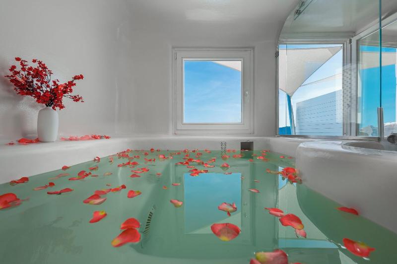 Diamond Luxury Suites image