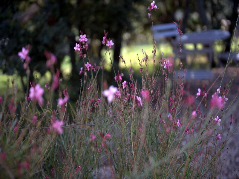 Les Terrasses De Gordes image