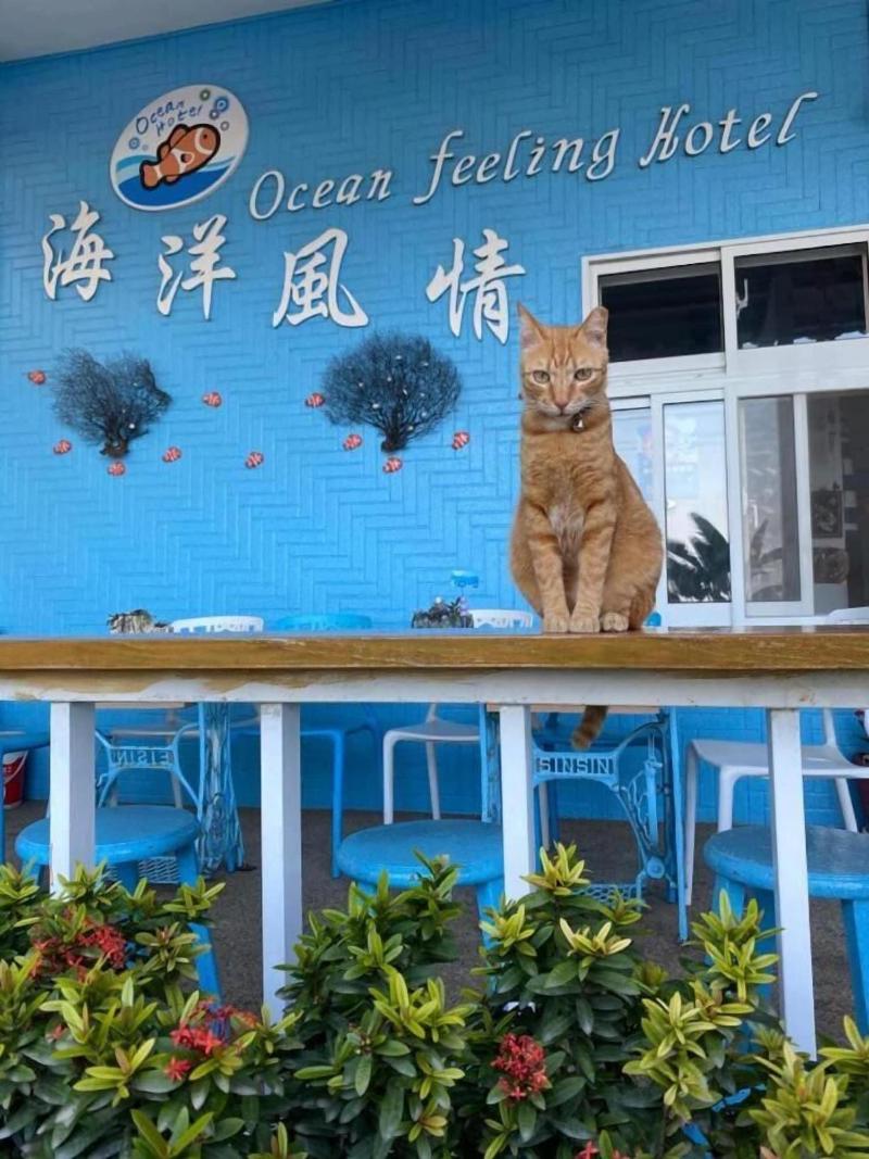 Ocean B&B image