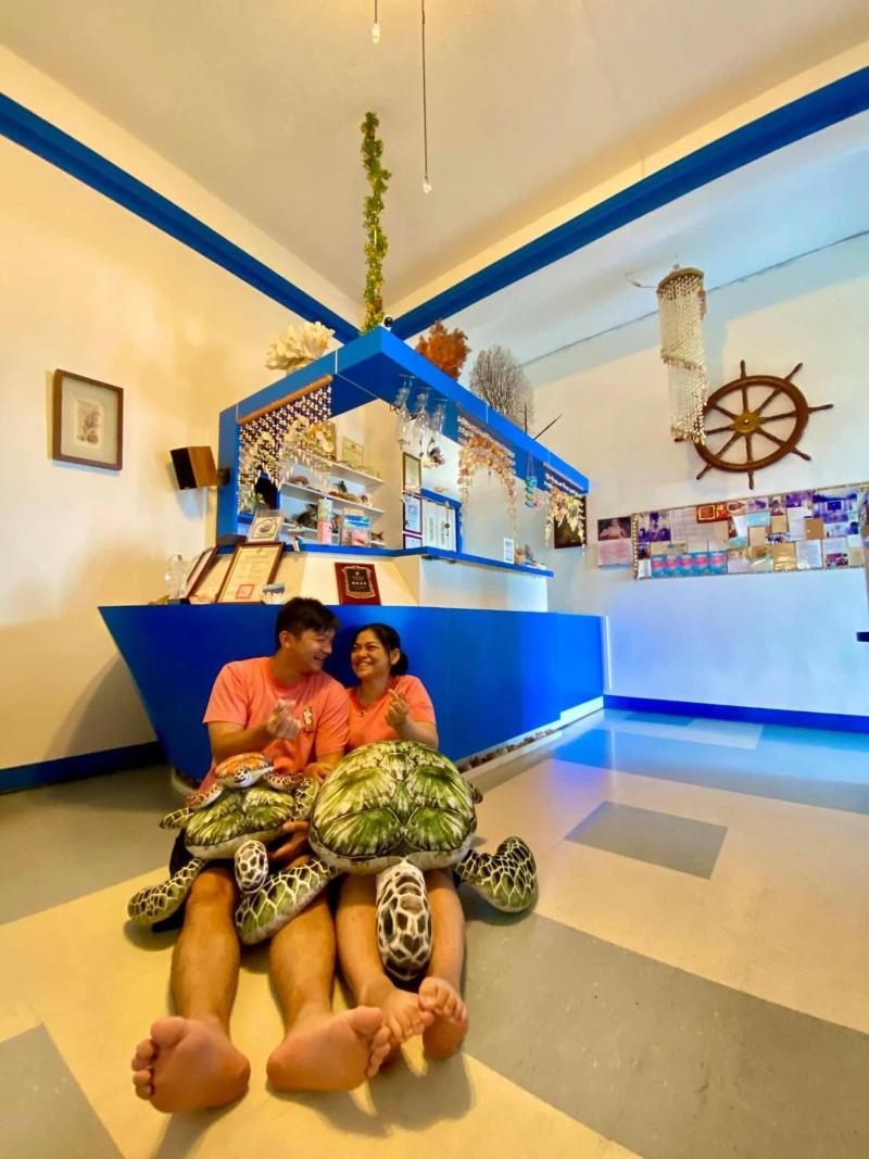 Ocean B&B image
