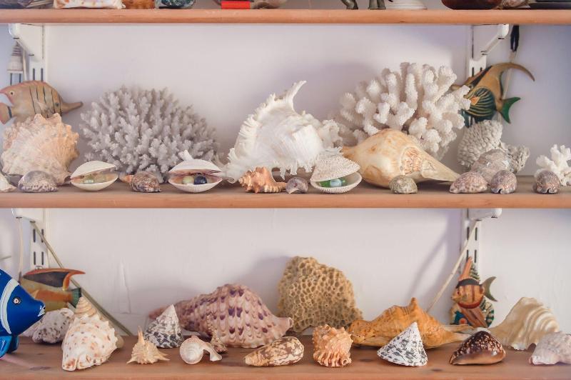 Ocean B&B image