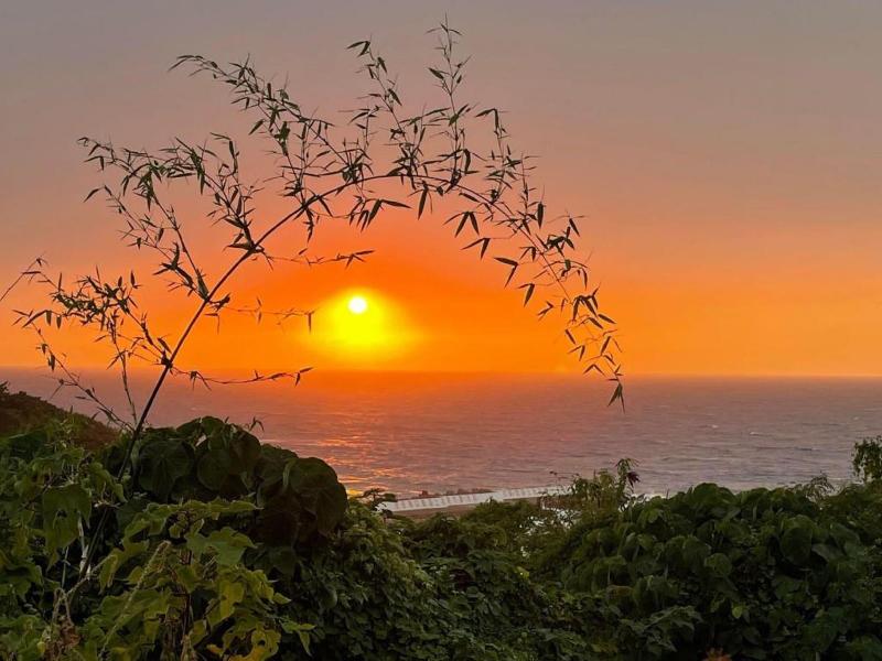 Ocean B&B image