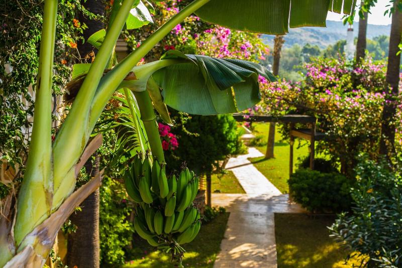 Hotel Pataros image