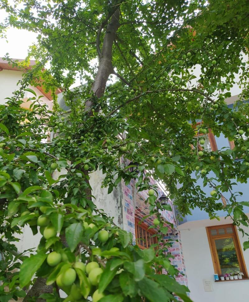 Bolu Yildiz Hotel image