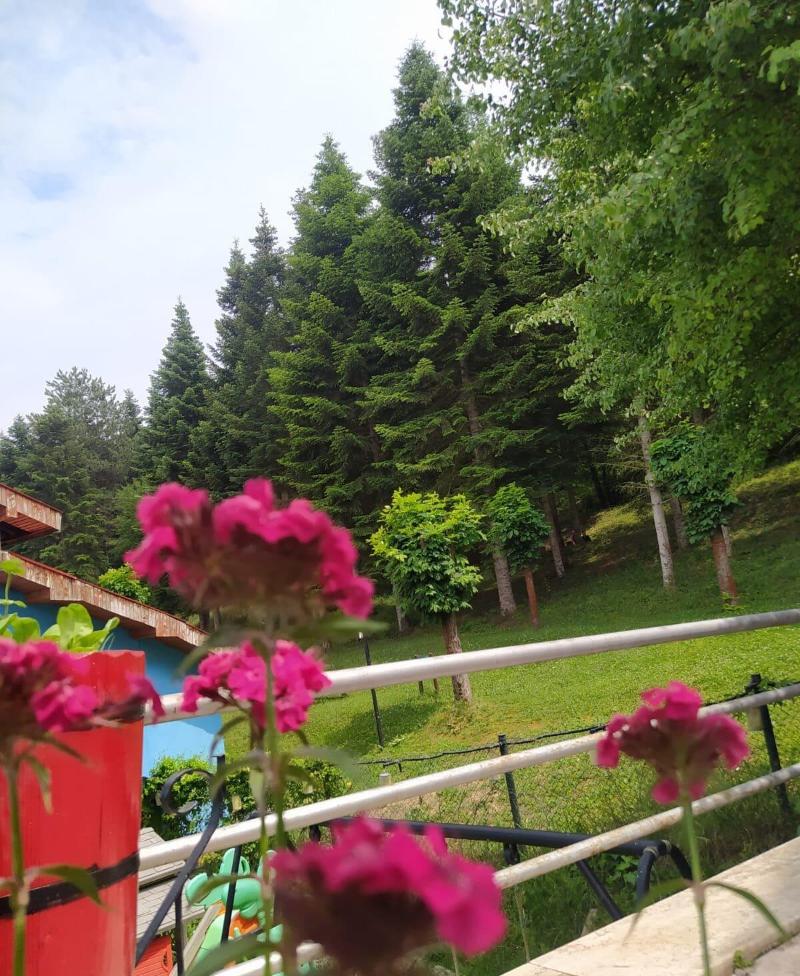 Bolu Yildiz Hotel image