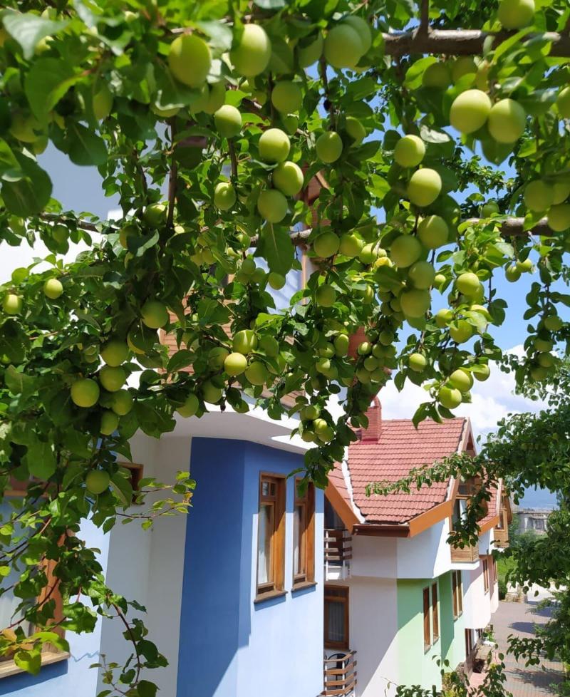 Bolu Yildiz Hotel image
