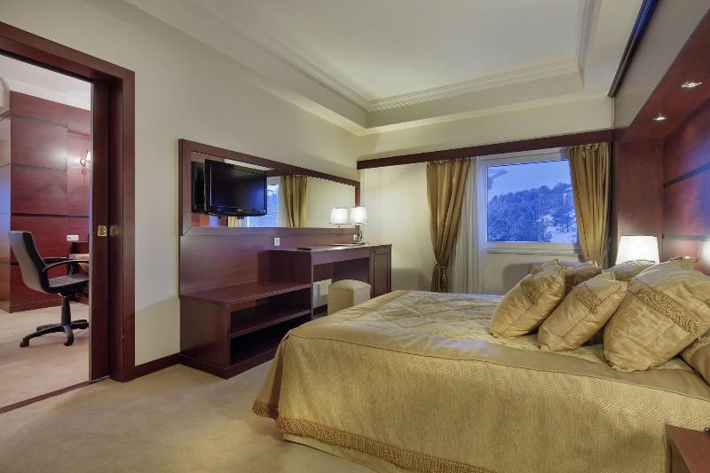 Palan Hotel image