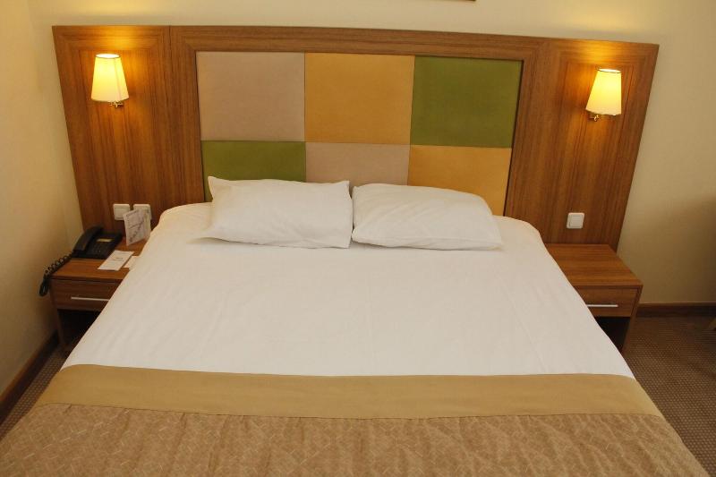Palan Hotel image