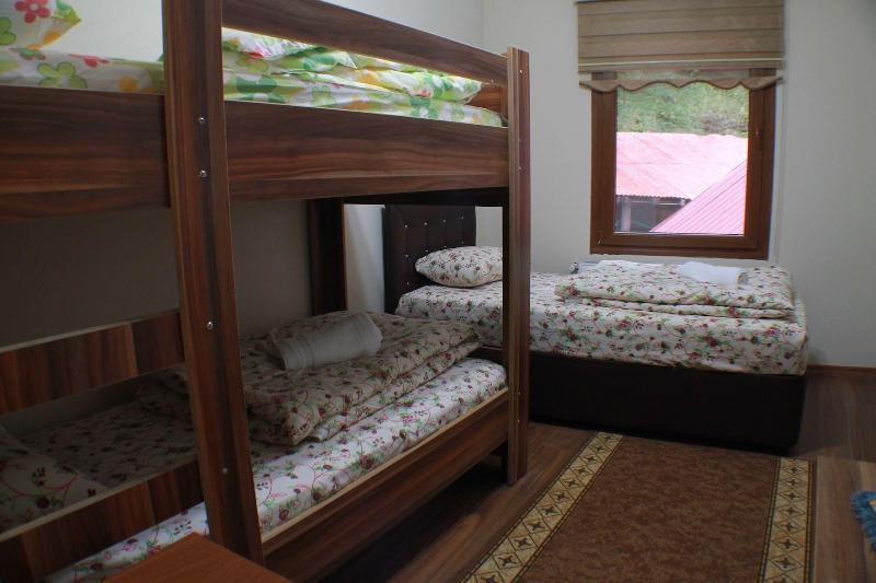 Uzungol Soylu Hotel image