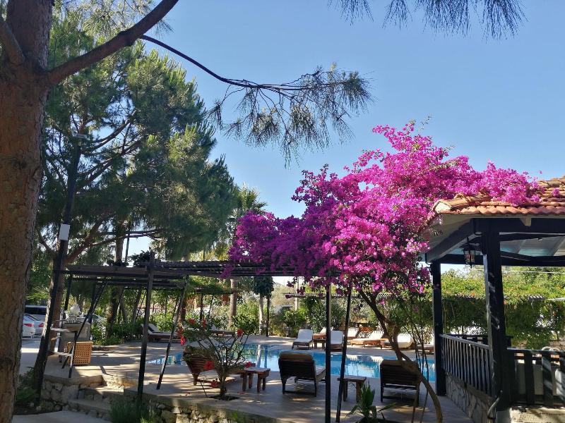 Selimhan Hotel - Selimiye image