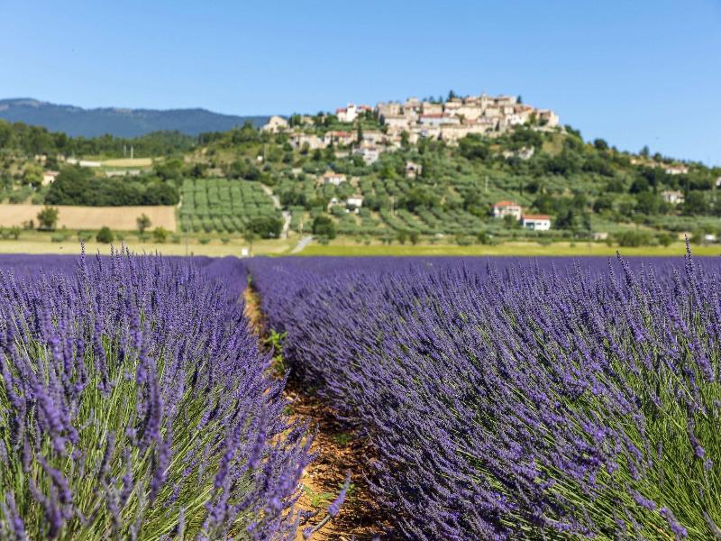 La Bonne Etape image