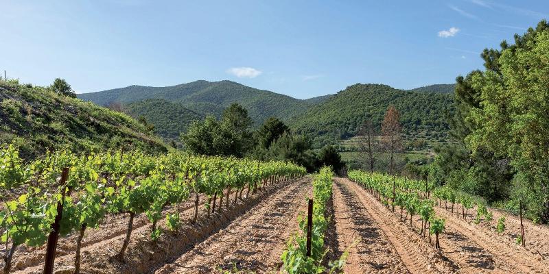 Hotel Restaurant Des Maures image