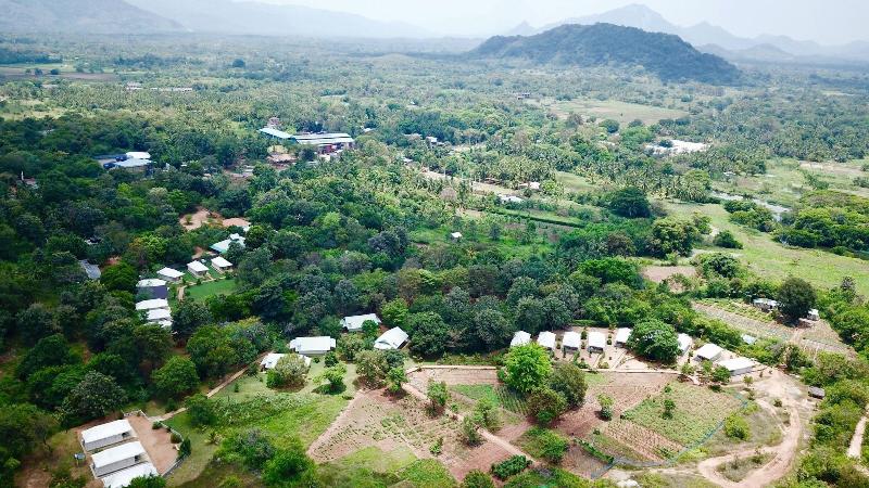 Rangiri Dambulla Resort image