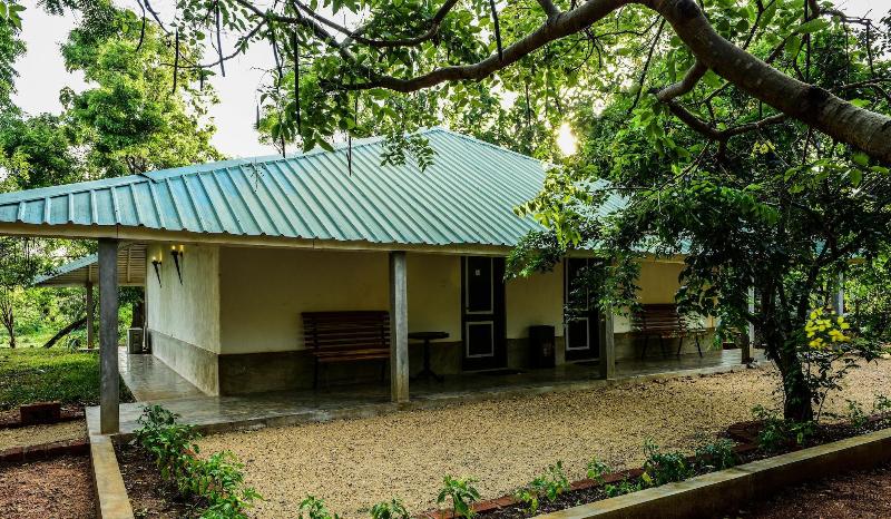 Rangiri Dambulla Resort image