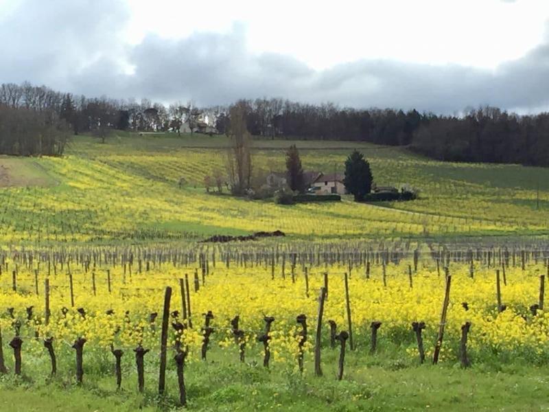 Domaine des Monges - Chambres d'hotes image