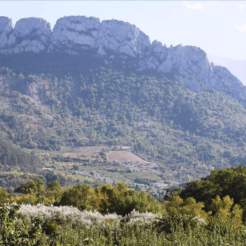 Auberge Saint Roch image