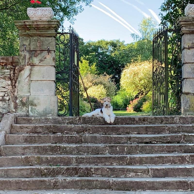 Le Chateau De Failloux image