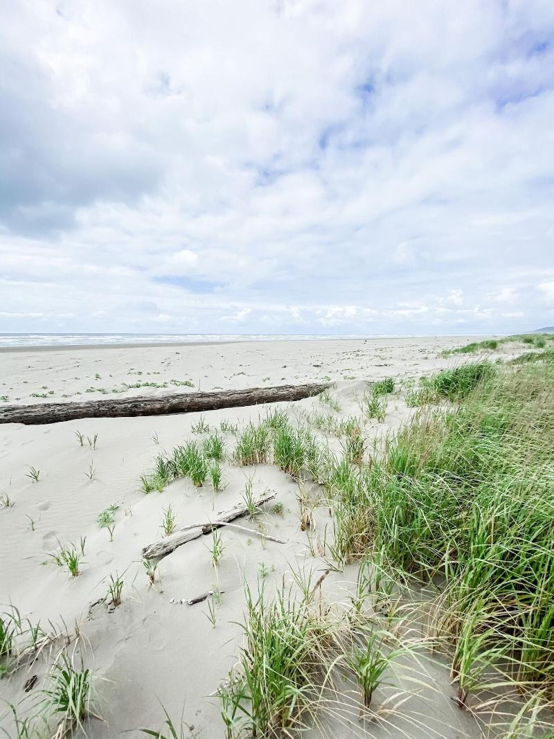 Pacific Dunes Resort image