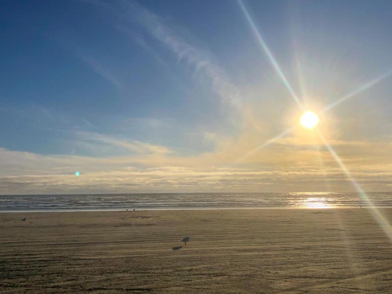 Pacific Dunes Resort image
