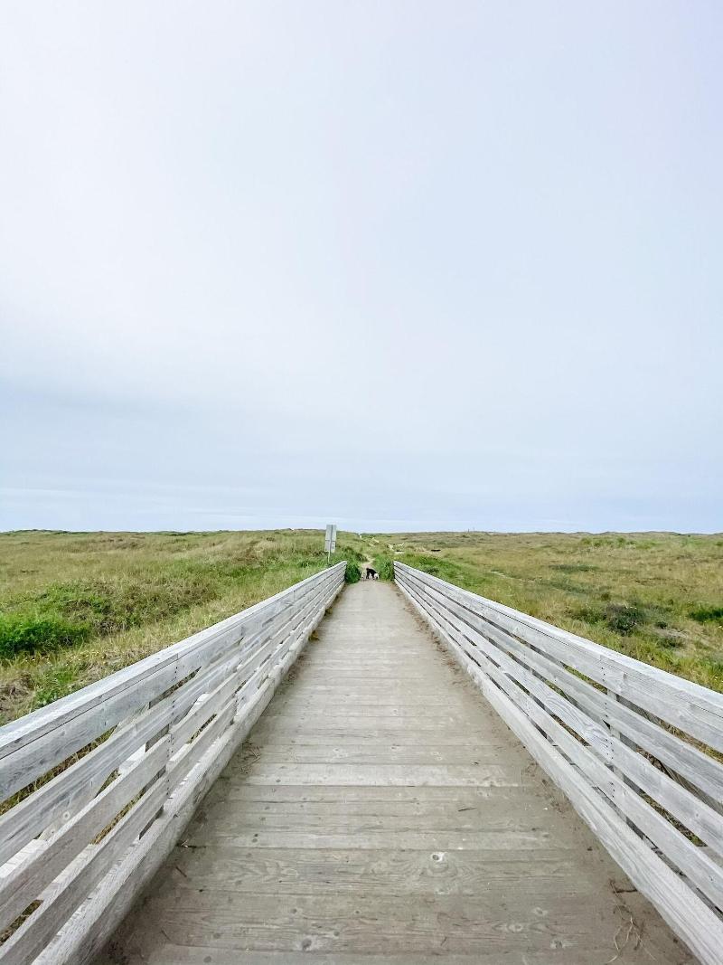 Pacific Dunes Resort image