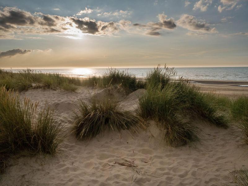 Pacific Dunes Resort image
