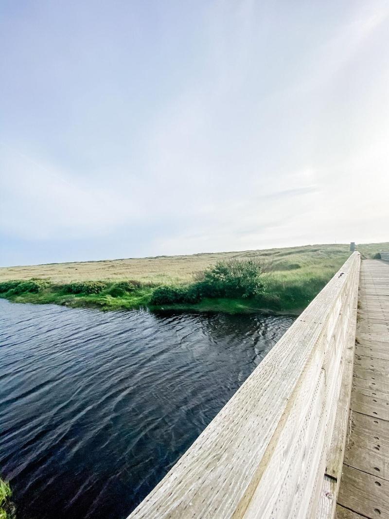 Pacific Dunes Resort image