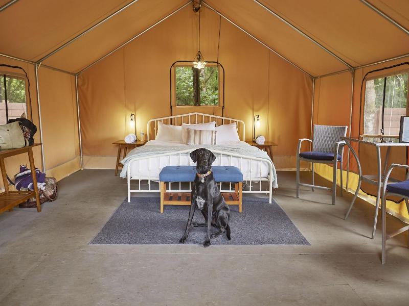Pacific Dunes Resort image