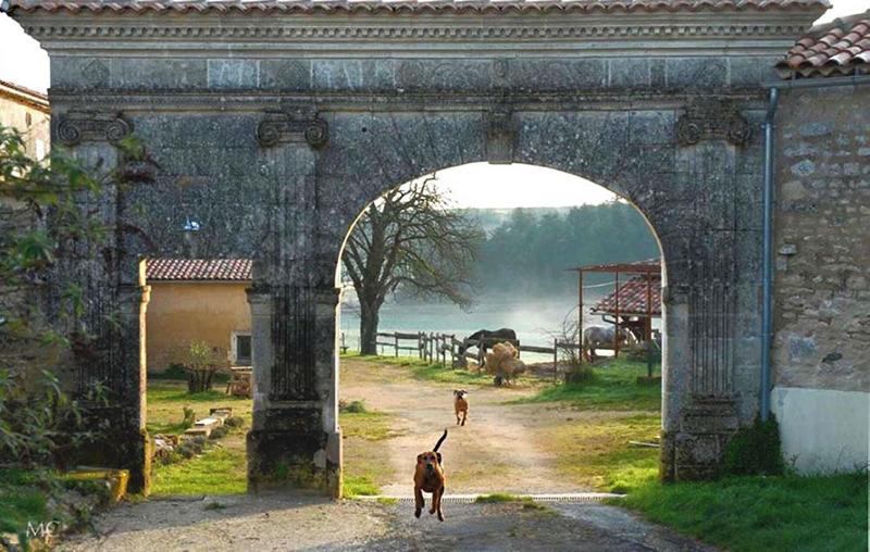 Ecurie Du Domaine De Chantemerle image