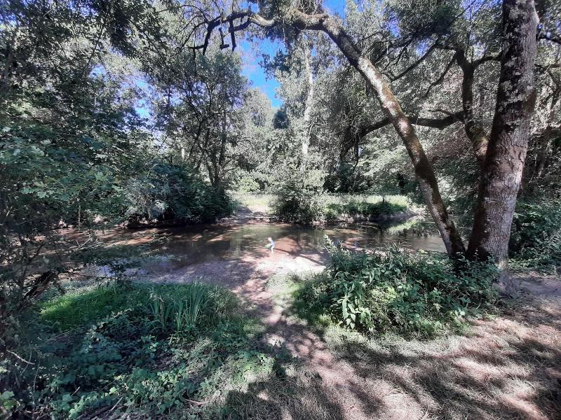 Ecurie Du Domaine De Chantemerle image