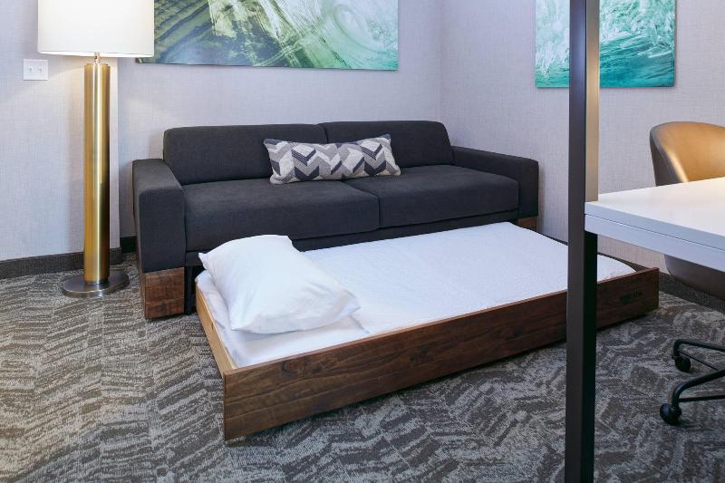Springhill Suites By Marriott Detroit Wixom image