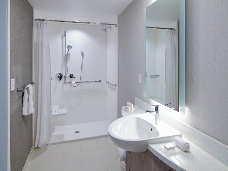 Springhill Suites By Marriott Detroit Wixom image