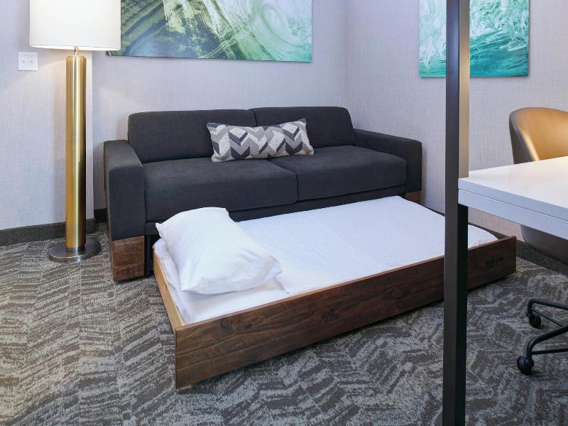 Springhill Suites By Marriott Detroit Wixom image