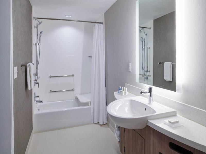 Springhill Suites By Marriott Detroit Wixom image