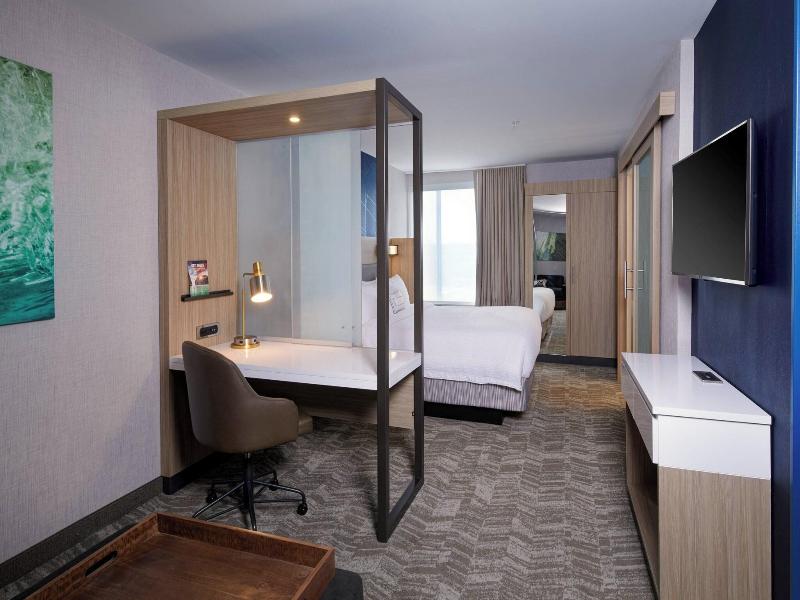 Springhill Suites By Marriott Detroit Wixom image