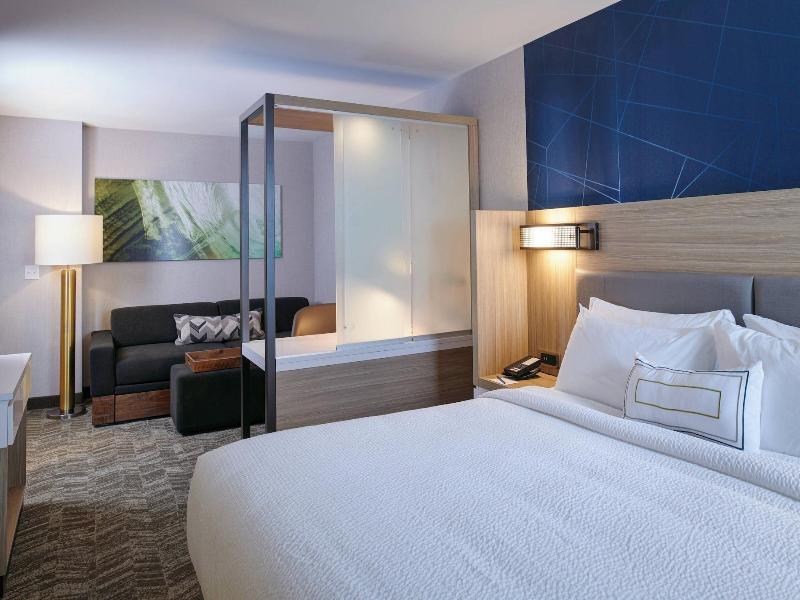 Springhill Suites By Marriott Detroit Wixom image
