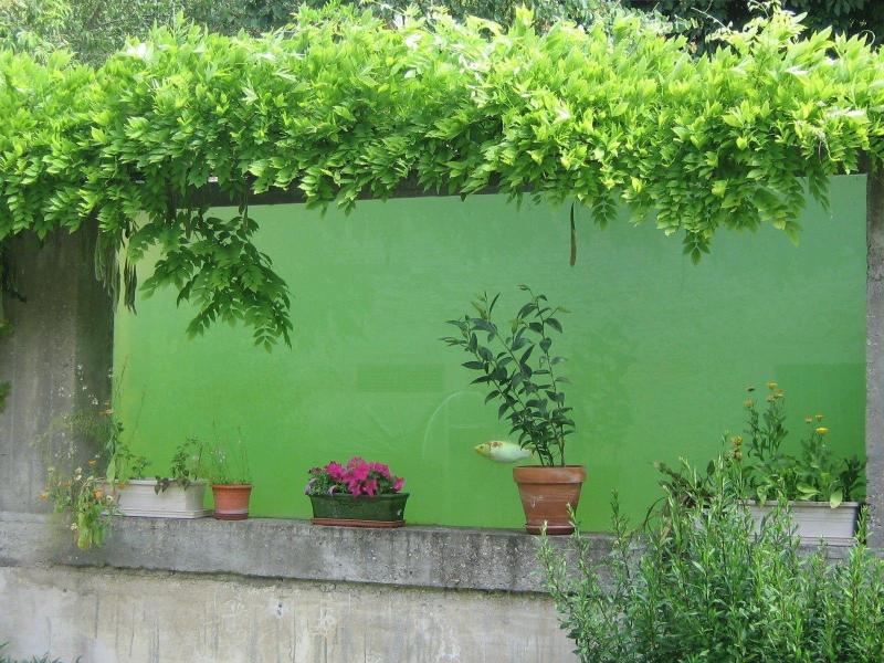 Les Buissonnets image