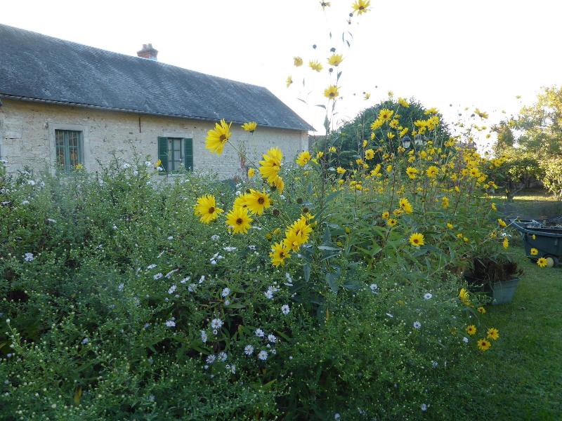 Les Buissonnets image