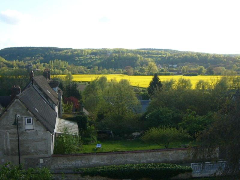 Les Buissonnets image