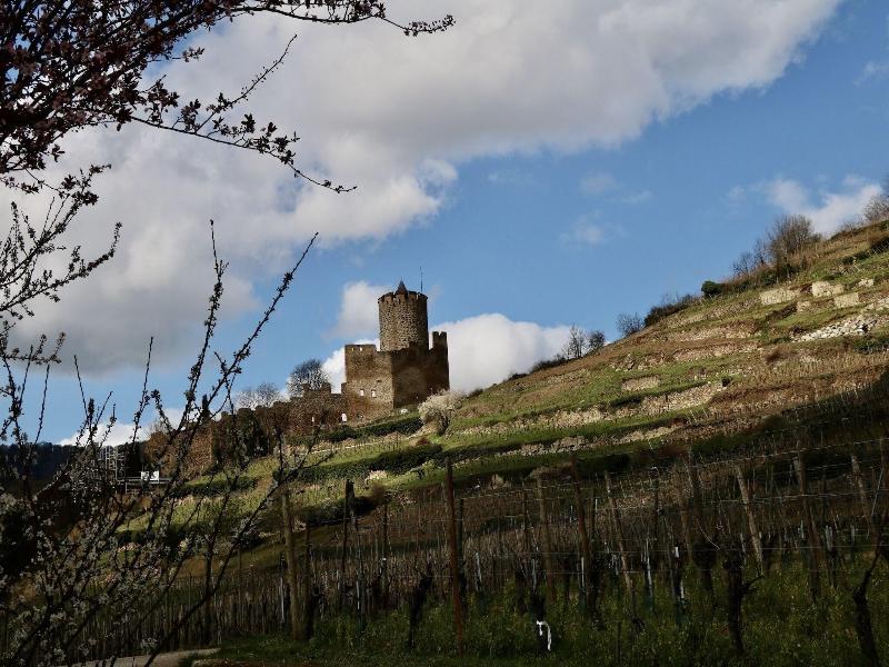 Chambres D'hôtes Les Ecrins image