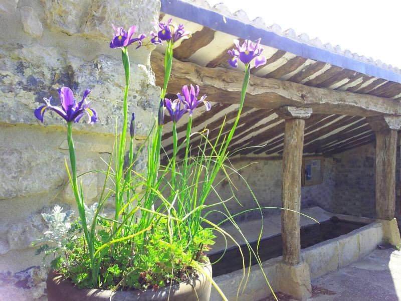 Casa Rural Basaula image