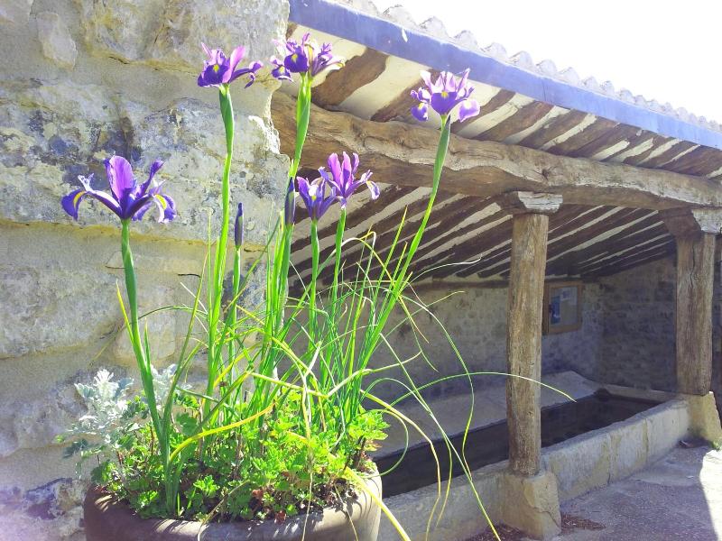 Casa Rural Basaula image