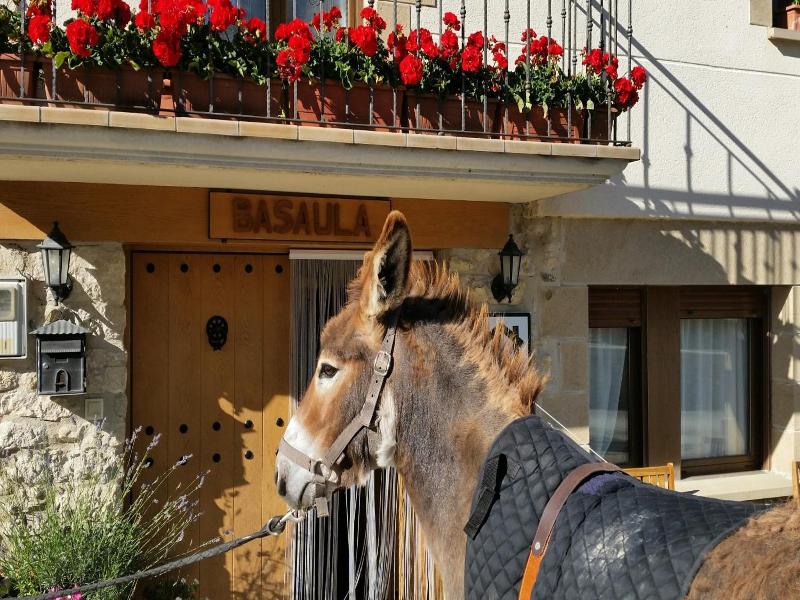 Casa Rural Basaula image