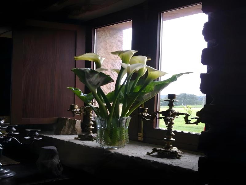 Casona Los Gamonales image