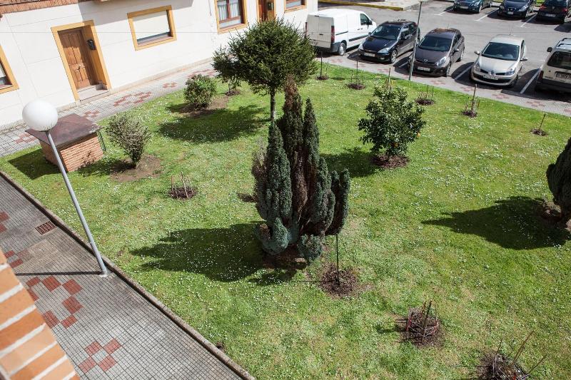Los Rosales image