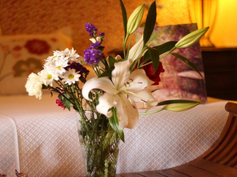 Hotel Rural Mas Fontanelles image