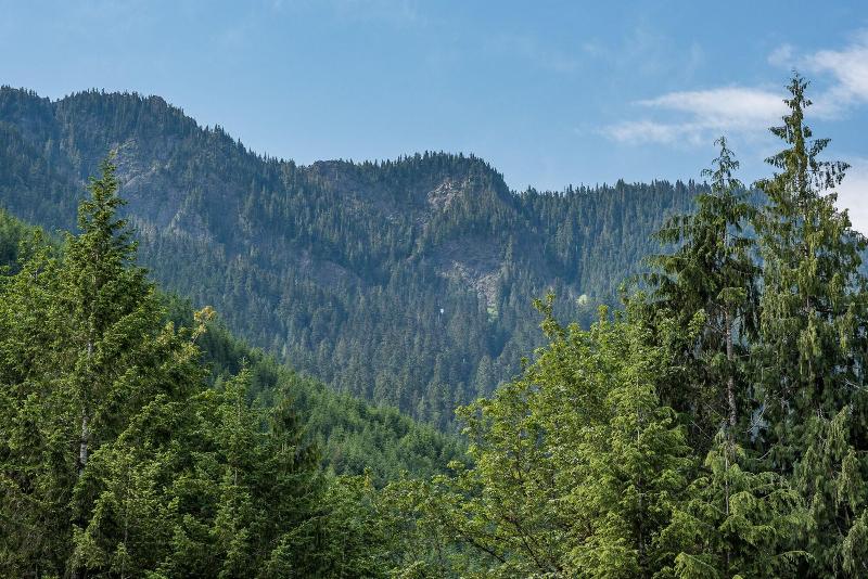 Emerald Valley Inn image