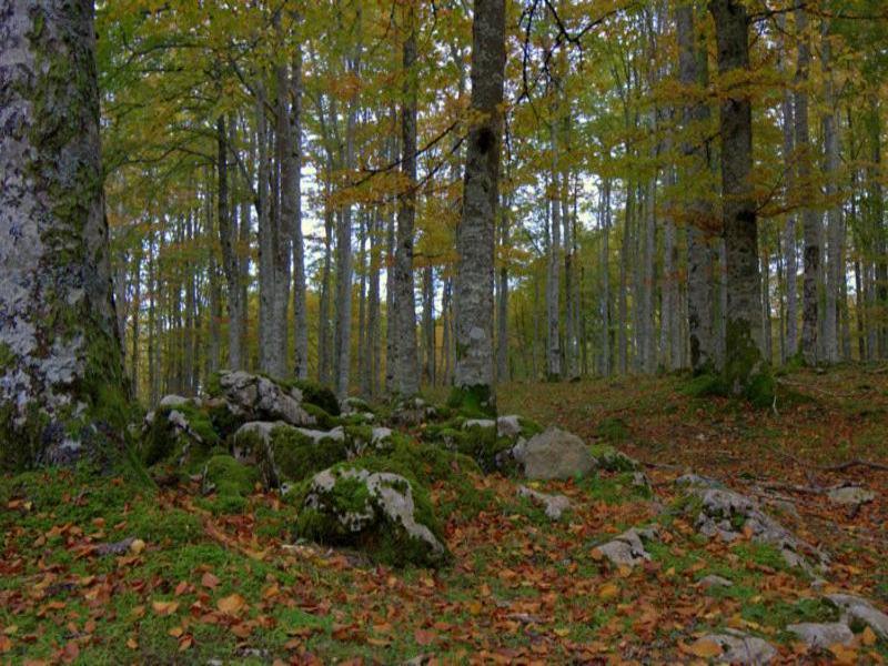 Hostal Rural Elosta image
