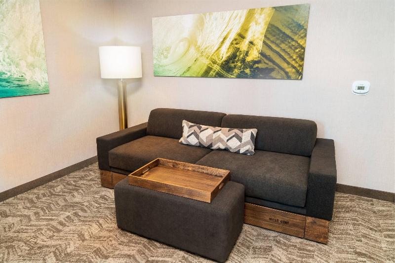 Springhill Suites By Marriott Newark Fremont image